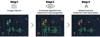 Weedbot WeedBot Weeding Technology